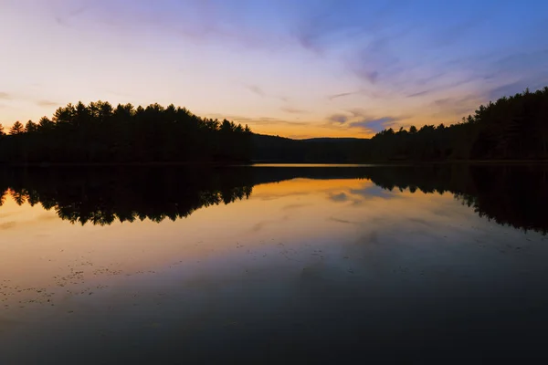 Sunset bulvarında bir orman göl. — Stok fotoğraf