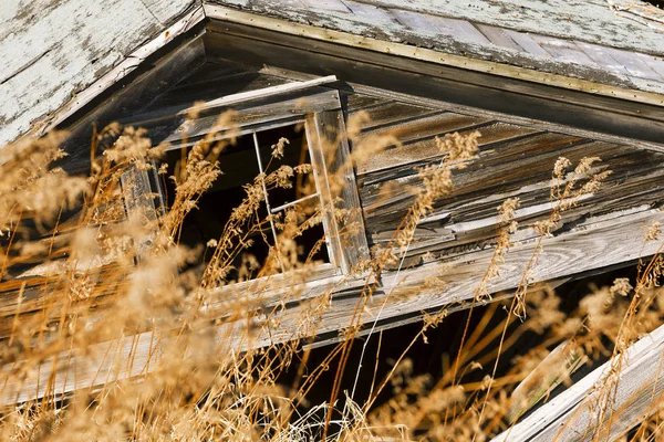 Ancienne Grange Altérée Sur Une Terre Agricole — Photo