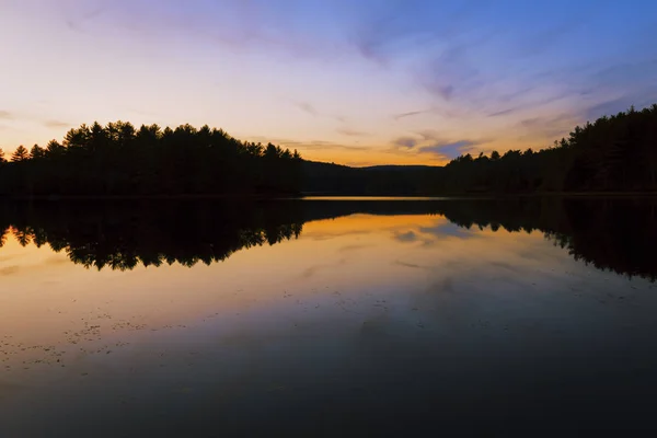 Sonnenuntergang auf einem Waldsee. Stockbild