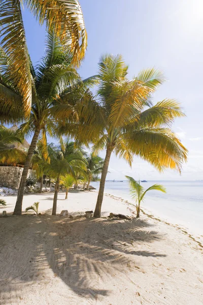 Ilha das Caraíbas paraíso . — Fotografia de Stock
