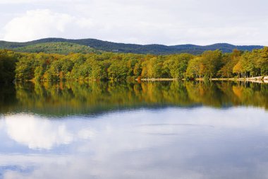 Güzel orman gölü.