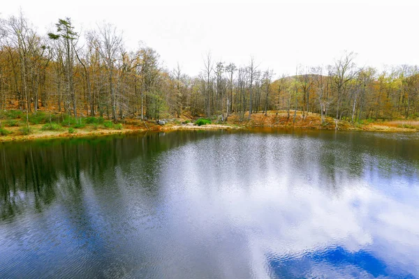 美しい森の湖. — ストック写真