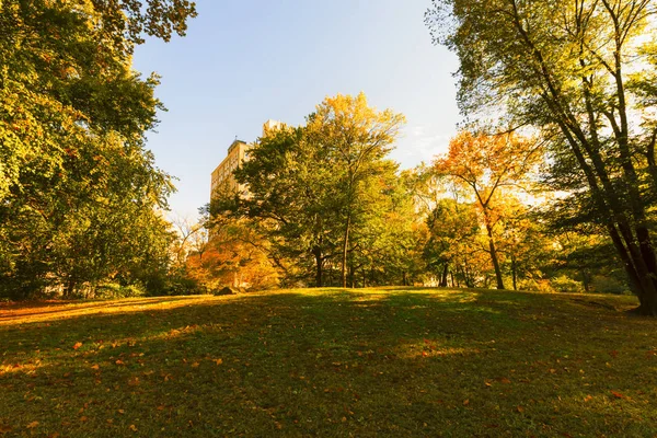 Central Park w Nowym Jorku. — Zdjęcie stockowe