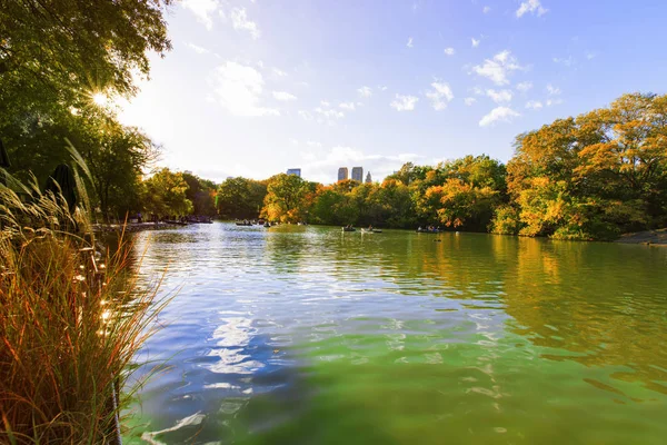 Central Park in New York City. — Stock Photo, Image