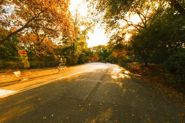 Central Park in New York City. — Stock Photo, Image