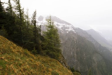 Berchtesgaden Milli Parkı.