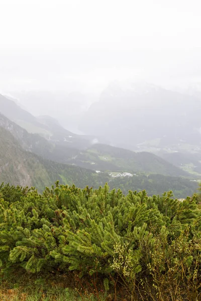 Berchtesgaden National Park. — Stock Photo, Image