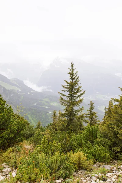 Berchtesgaden National Park. — Stock Photo, Image