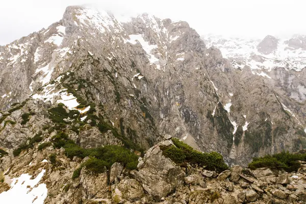 Berchtesgaden National Park. — Stock Photo, Image