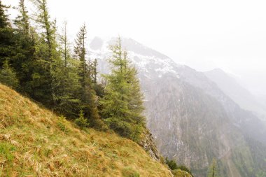 Berchtesgaden Milli Parkı.