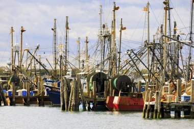 Balıkçı tekneleri Galilee, Rhode Island.
