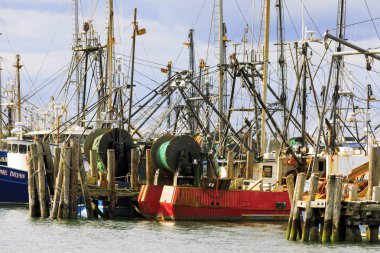 Balıkçı tekneleri Galilee, Rhode Island.