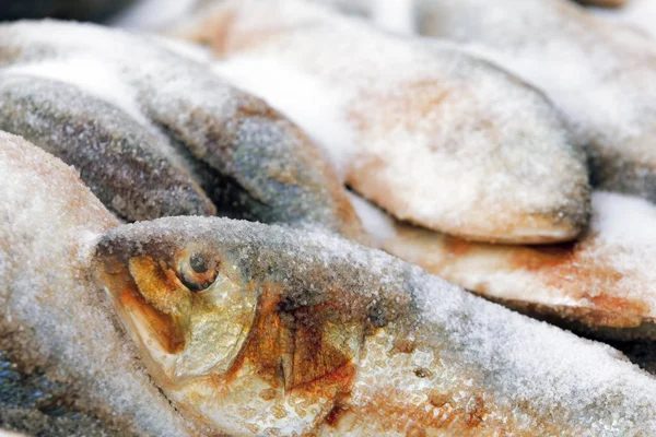 Pesce fresco in vendita al mercato dei frutti di mare . — Foto Stock