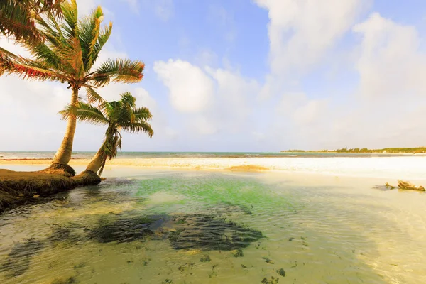 Caribbean Island paradise. — Stock Photo, Image