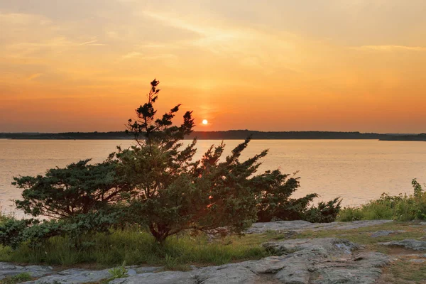 Sunset on a rocky shore. — Stock Photo, Image