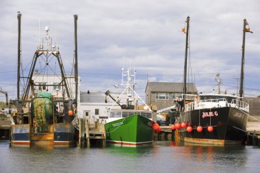 Balıkçı tekneleri Galilee, Rhode Island.