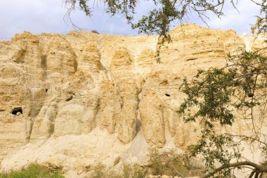 Ein Gedi Doğa Koruma Alanı.