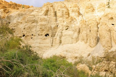 Ein Gedi Doğa Koruma Alanı.