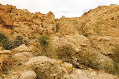 Ein Gedi Doğa Koruma Alanı.