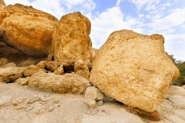 Ein Gedi Doğa Koruma Alanı.