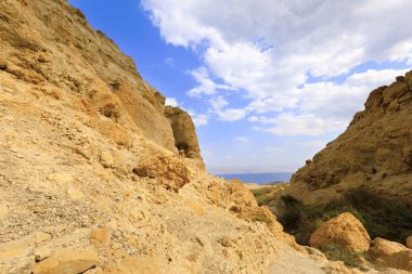 Ein Gedi Doğa Koruma Alanı.