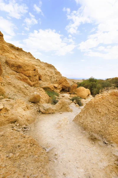 Rezerwat przyrody Ein Gedi. — Zdjęcie stockowe