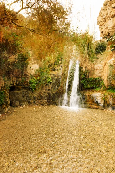 Ein Gedi Nature Reserve. — Stock Photo, Image