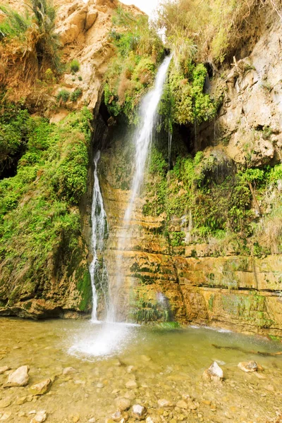 Reserva Natural de Ein Gedi. — Fotografia de Stock