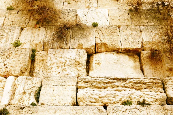 西墙是犹太人被允许进行公关的最神圣的地方 — 图库照片