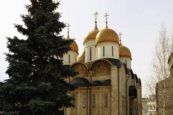 Kremlin de Moscovo. — Fotografia de Stock