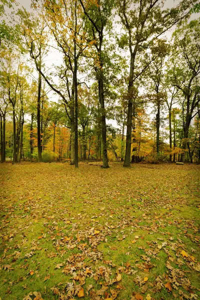 Paesaggio autunnale . — Foto Stock