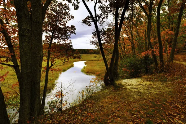 Paisaje de otoño . —  Fotos de Stock