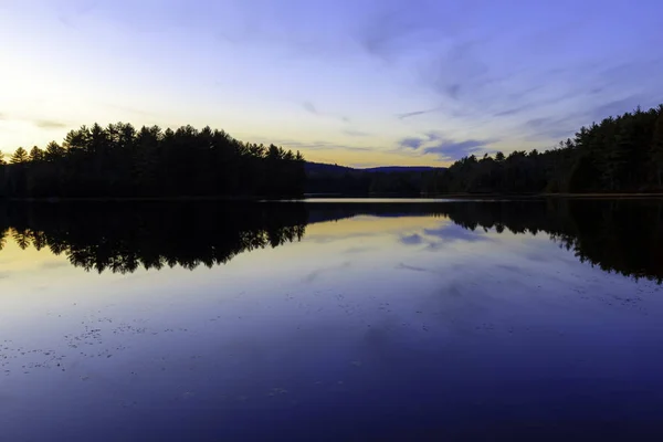 森林湖上的日落. 免版税图库照片