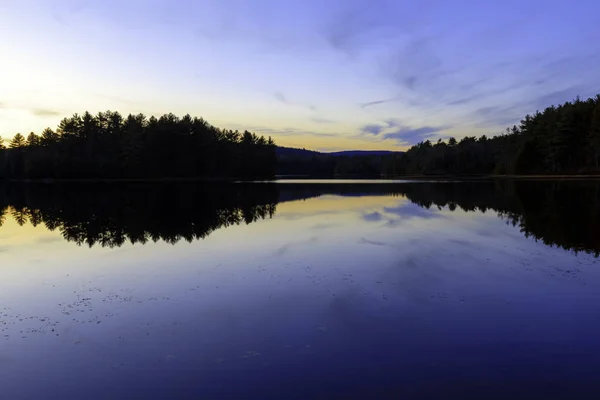 Puesta de sol en un lago forestal . Fotos De Stock Sin Royalties Gratis