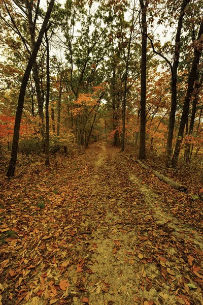 Fall scenery. — Stock Photo, Image