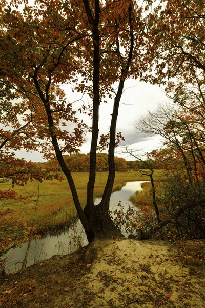 Paisaje de otoño . —  Fotos de Stock