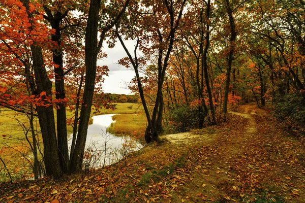 Paesaggio autunnale . — Foto Stock