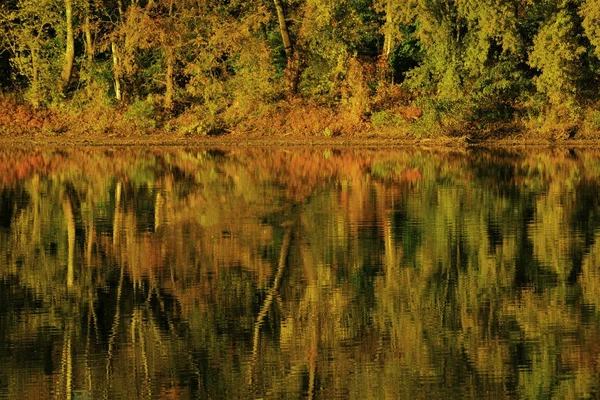 Krajina na podzim na lesní jezírko. — Stock fotografie