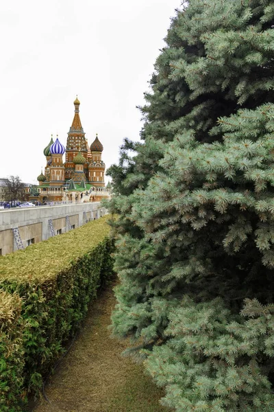 Kreml-Mauer-Nekropole — Stockfoto