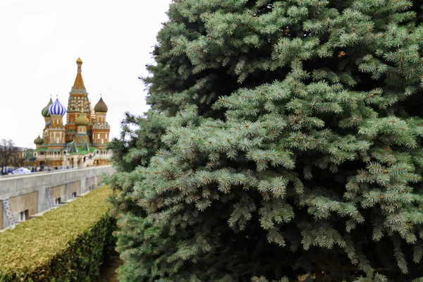 Кремлевский некрополь — стоковое фото