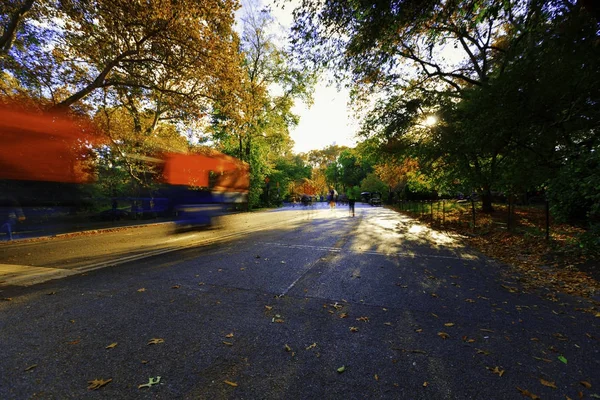 가을 중앙 공원. — 스톡 사진