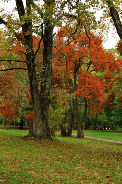 Paesaggio autunnale . — Foto Stock