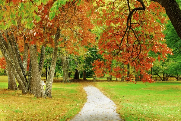 Paisaje de otoño . —  Fotos de Stock