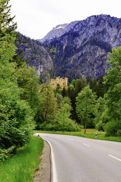 Neuschwanstein kastély bajor Alpokban. — Stock Fotó