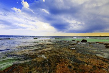 Palmiye ağaçları ile Karayipler Beach görünümü.
