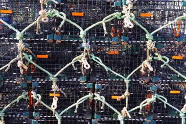 Celile, Rhode Island, ABD-Mayıs 11,2017: Celile Rhode Island en büyük balıkçılık filo için bir evim.