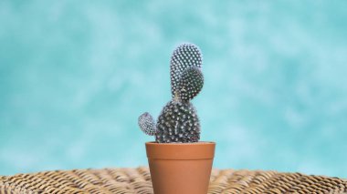  bitkilerin yeşil zemin üzerine 