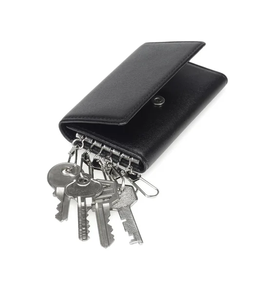 皮包钥匙链 — 图库照片
