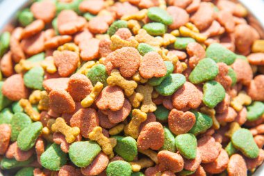 Kuru köpek gıda kabın içinde yakın çekim