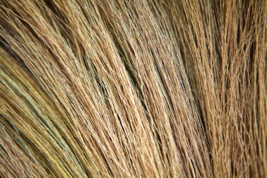 Çim birbirine bağlamak için yapılan süpürge.